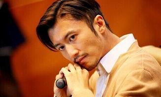 娱乐圈爆料男艺人是谁啊,揭秘神秘男艺人身份大揭秘  第2张