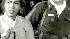 在线观看奇袭,网络战场的逆袭之战