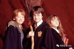 哈利波特最新爆料6月,神秘新篇章，揭秘6月重磅爆料！  第3张